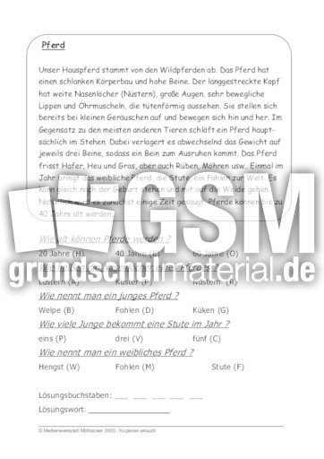 Pferd.pdf